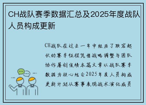 CH战队赛季数据汇总及2025年度战队人员构成更新