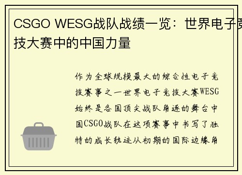 CSGO WESG战队战绩一览：世界电子竞技大赛中的中国力量
